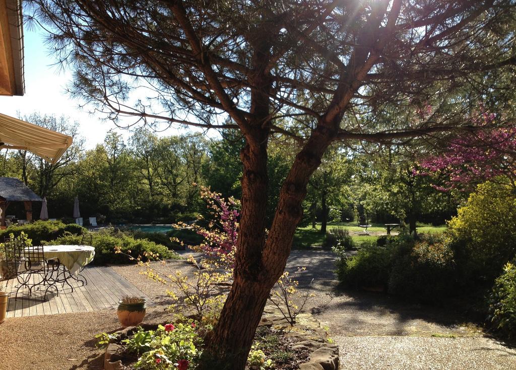 La Villa Des Pins Verrieres  Rum bild