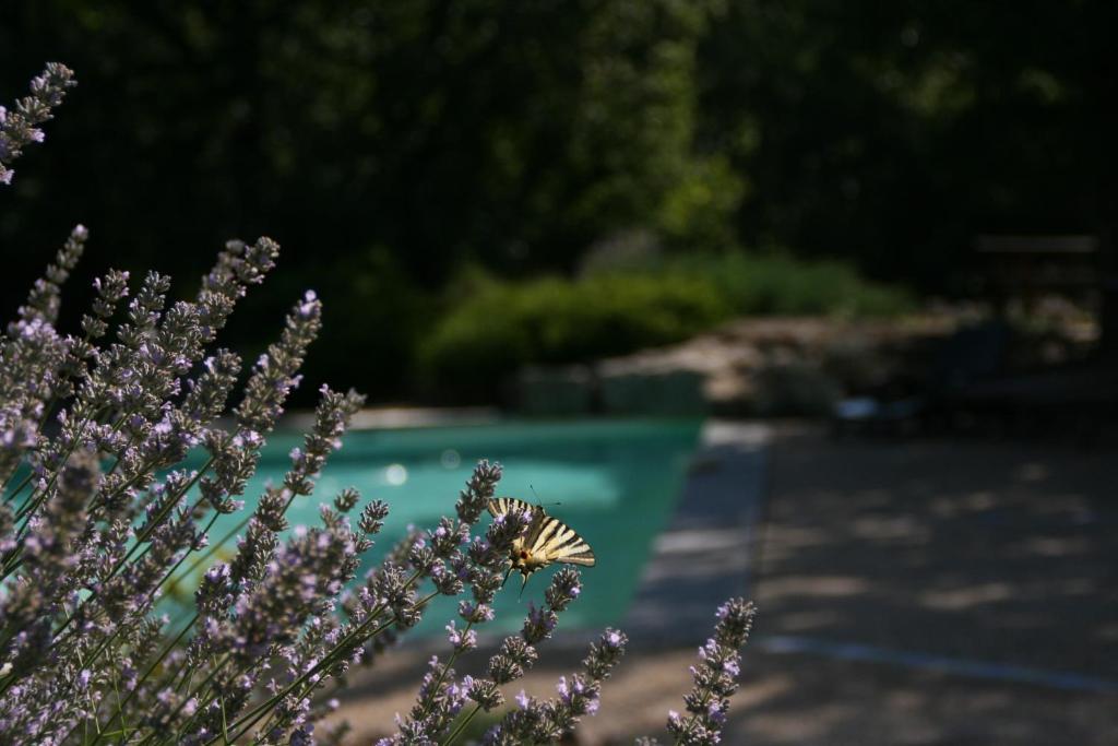 La Villa Des Pins Verrieres  Exteriör bild