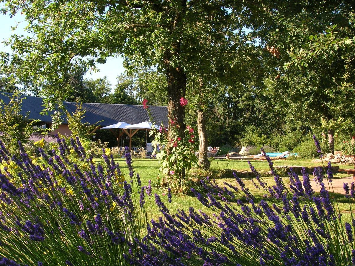 La Villa Des Pins Verrieres  Exteriör bild