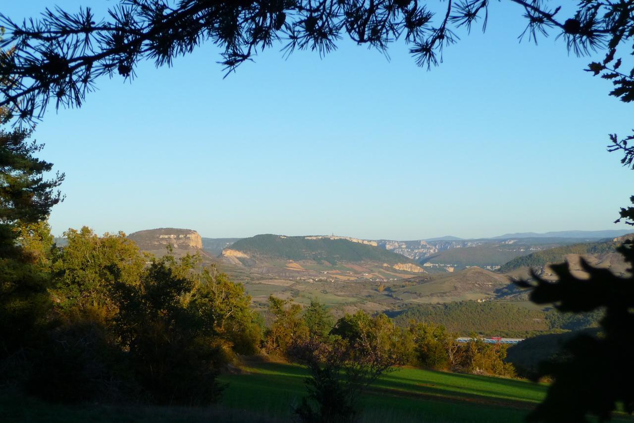 La Villa Des Pins Verrieres  Exteriör bild