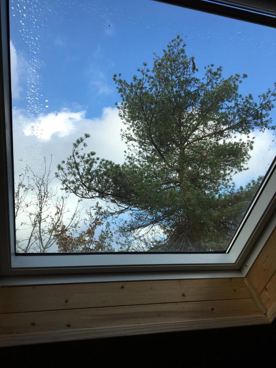 La Villa Des Pins Verrieres  Exteriör bild